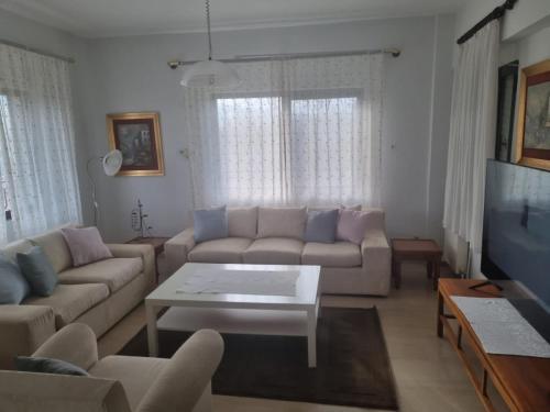 Χώρος καθιστικού στο Villa in Trilofos-close to the beach