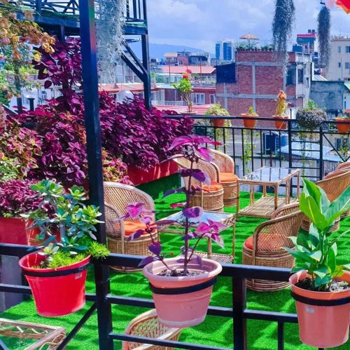a balcony filled with potted plants on a balcony at Yog Hostel- Rooftop Yoga & Backpacker Social Stay in Thamel, Kathamndu in Kathmandu