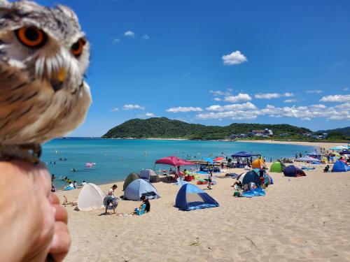 a group of people on a beach with tents at 海辺の宿ことひ in Kyotango