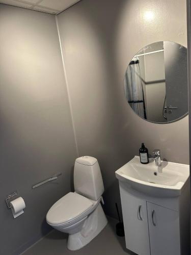 a bathroom with a toilet and a sink and a mirror at Double Room 1 With Free Parking In Saeby in Sæby