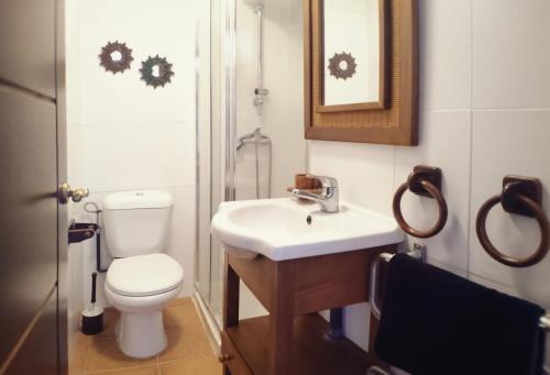 un bagno con un water e un lavandino di Casa Cueva "EL PORCHE DEL JUCAR" ad Alcalá del Júcar