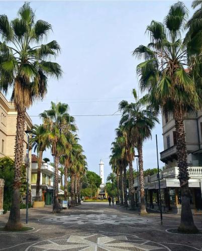 a street with palm trees and a clock tower in the distance at Casa del Fiordaliso in San Benedetto del Tronto