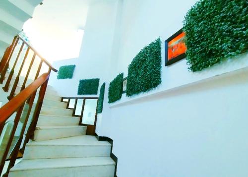 un escalier avec une plante verte sur le mur dans l'établissement Aashiyana, à Nashik