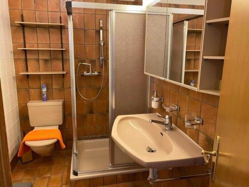ein Bad mit einer Dusche, einem Waschbecken und einem WC in der Unterkunft Chesa Florineth  Studio ÖV und Bergbahnen inklusive Sommer in Samedan