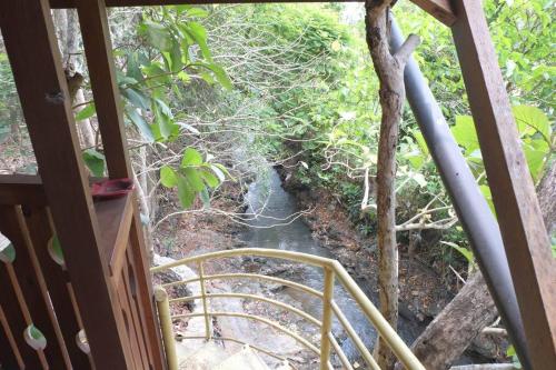 Taman di luar Riverside villa in tropical setting
