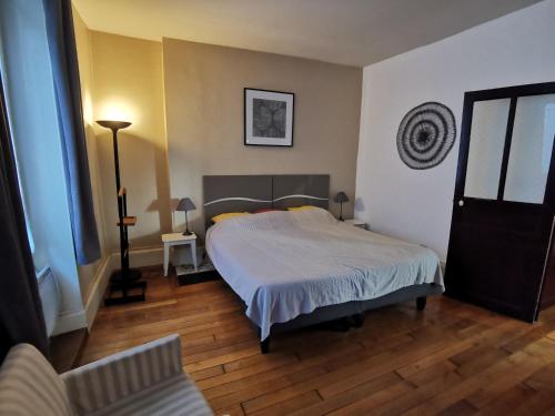 un dormitorio con una cama en una habitación en Appart Gîte Les Oiseaux- face Loire Quai du Châtelet, en Orléans
