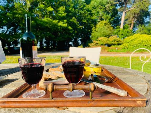una bandeja con dos copas de vino en una mesa en Chalet Du Bel Event, en La Chapelle-sur-Dun