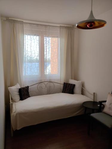 a bed in a room with a large window at Roses Apartment in Frýdek-Místek