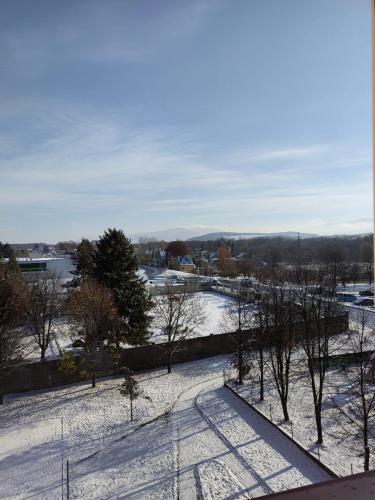 a snow covered park with trees and a body of water at Roses Apartment in Frýdek-Místek