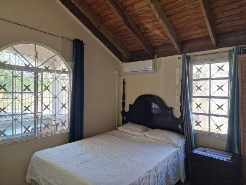 a bedroom with a bed and two windows at Spanish Palm Villa in Spanish Town