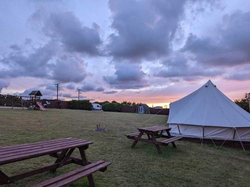 2 Picknicktische und ein weißes Zelt auf einem Feld in der Unterkunft Penhallow Glampsite in Truro