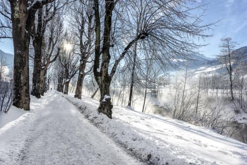 a snow covered path with trees on a snowy hill at Alpine Spa Hotel Haus Hirt in Bad Gastein