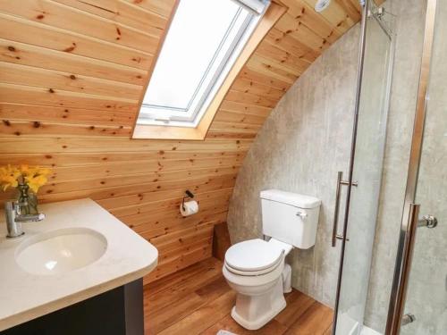 a bathroom with a toilet and a sink and a window at Primrose in Rhayader