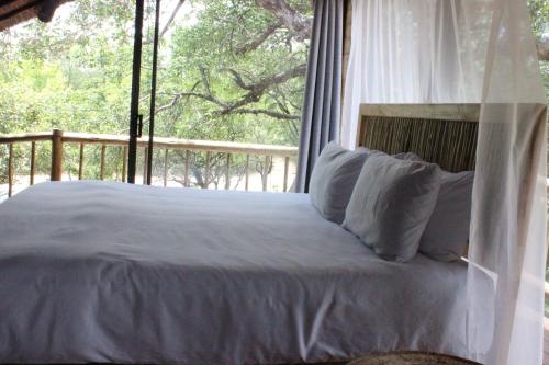 Gambar di galeri bagi Letoane@krugerpark di Marloth Park