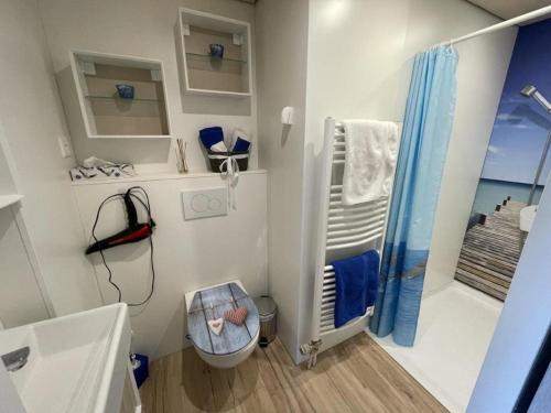 een badkamer met een douche en een toilet. bij Ferienwohnung Hälmli in Heiden