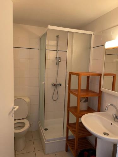 Phòng tắm tại 2 pièces avec parking en Coeur de Ville - Appartement lumineux et calme