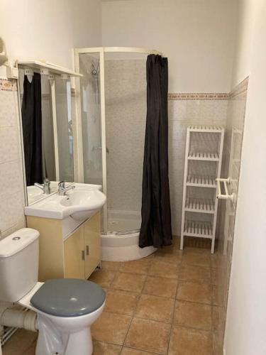 une salle de bain avec toilettes, lavabo et douche dans l'établissement Appartement dans un immeuble historique avec cour, à Orange