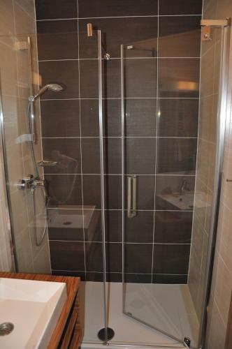 W łazience znajduje się prysznic ze szklanymi drzwiami. w obiekcie Gasthof zur Linde w mieście Sankt Andrä bei Frauenkirchen