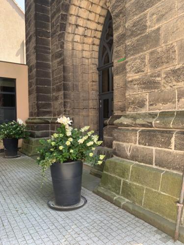 Gambar di galeri bagi Czarna Wieża di Lwówek Śląski