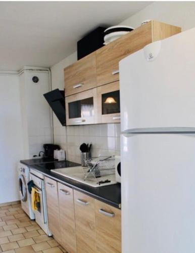 Chambre privée dans une colocation avec un balcon في مونبلييه: مطبخ مع مغسلة وثلاجة بيضاء