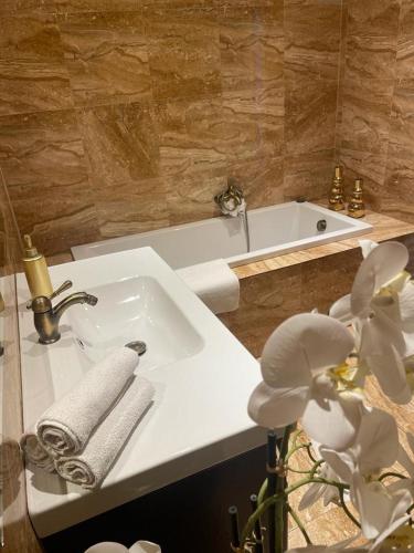 a bathroom with a sink and a bath tub at Apartmán in Kadaň