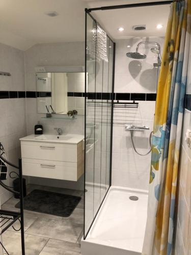 La salle de bains est pourvue d'une douche et d'un lavabo. dans l'établissement Le Voyageur, à Saint-Bonnet-Tronçais