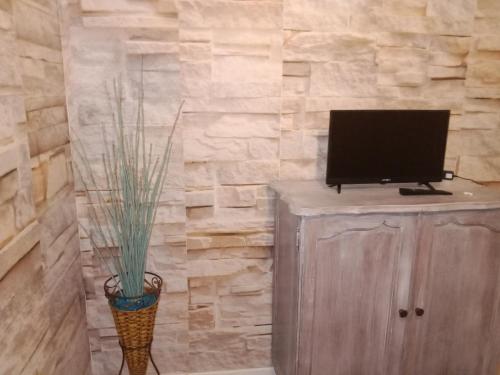 een televisie op een kast met een vaas met een plant bij Chambres d'hôtes Ruoms sud Ardèche in Ruoms