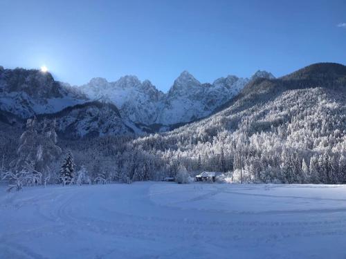 a snow covered field with mountains in the background at Apartmaji Misotič in Gozd Martuljek