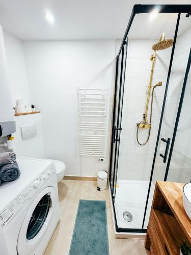La salle de bains est pourvue d'un lave-linge et d'une douche. dans l'établissement Studio cozy centre avec Parking, à Grasse