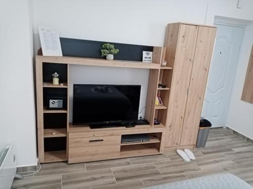 a wooden entertainment center with a flat screen tv at Studio Pahuljica in Apatin