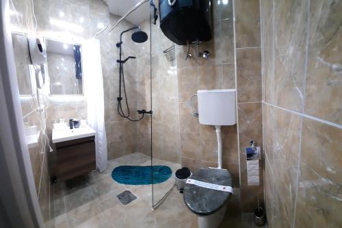 a bathroom with a shower with a toilet and a sink at Studio Pahuljica in Apatin