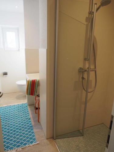 a shower with a glass door in a bathroom at Ferienwohnung Alte Fehnapotheke, 95144 in Rhauderfehn