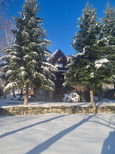 a house covered in snow with two trees at Cabana Haiducului in Soveja