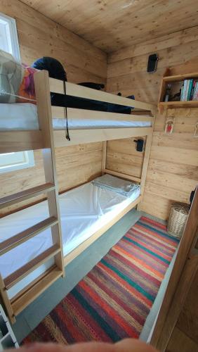 La cabane du petit loup, 4 personnes, skis aux pieds