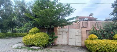 a house with a fence and a tree and bushes at Emebet Tesfaye's House, in Addis Ababa