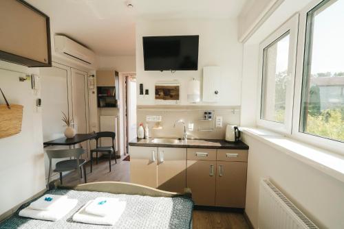 Η κουζίνα ή μικρή κουζίνα στο Seaside Studio Apartment THE RED FISH