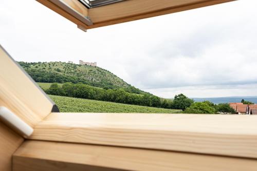 a window view of a vineyard from a house at Penzion Nad Pavlovem in Pavlov