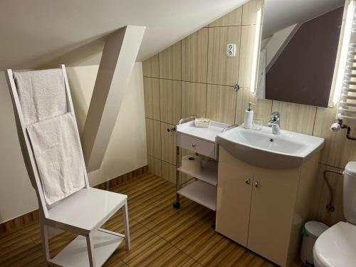 a small bathroom with a sink and a toilet at Dolina Witówki in Mrozy