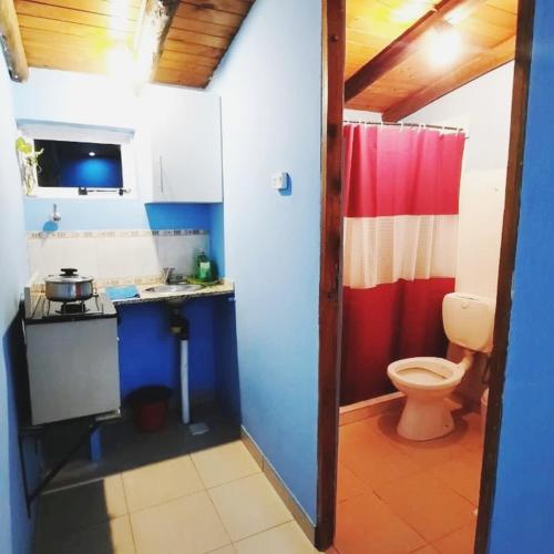 a small bathroom with a toilet and a sink at Cabañas Millaray in Huinganco