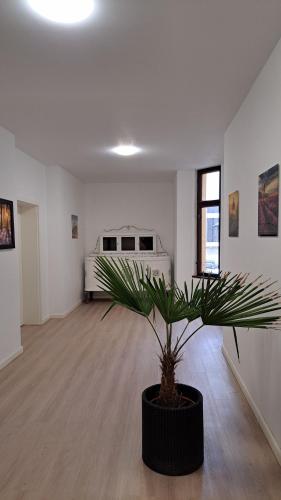um quarto com um vaso de plantas no meio dele em Heyerhaus Greiz em Greiz