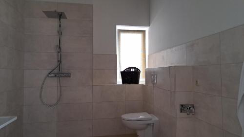 uma casa de banho com um chuveiro, um WC e uma janela. em Heyerhaus Greiz em Greiz