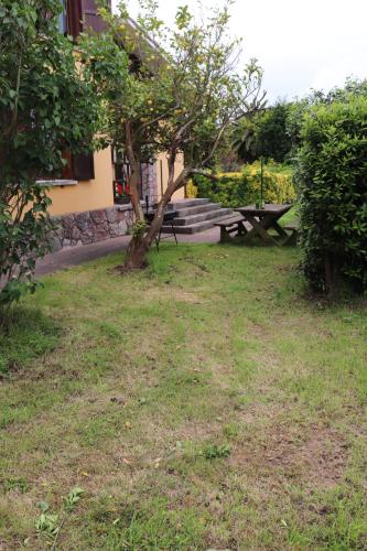 una mesa de picnic y un árbol en un patio en Chalet céntrico costero en Gijón, en Gijón