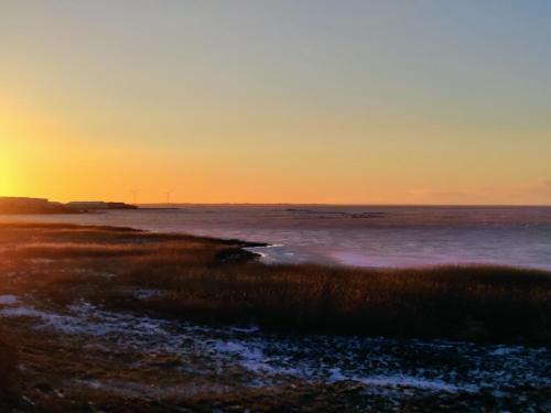 a sunset over a body of water with grass at Villa-Amby in Ringkøbing
