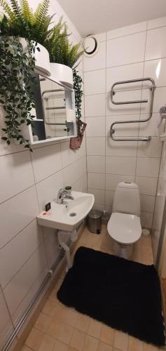 Studio apartment near metro and forest! في ستوكهولم: حمام مع حوض ومرحاض