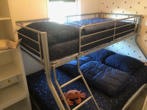2 łóżka piętrowe w małym pokoju z wypchanym zwierzakiem w obiekcie KD 805 - Kijkduin w Hadze