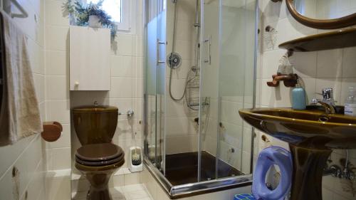 uma casa de banho com um chuveiro, um WC e um lavatório. em Ferienwohnung Fuchsblick em Altenau