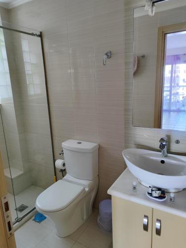 a bathroom with a toilet and a sink and a mirror at Δροσια 1 in Nafplio