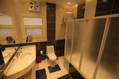 a bathroom with a sink and a toilet and a shower at Munir`s residence 2 in Cairo