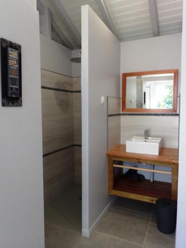 a bathroom with a sink and a mirror at Caraïbes Cottages Jellyfish piscine privée sur les hauteurs de la plage de Grande Anse in Deshaies