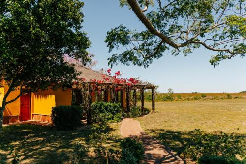 a yellow house with a red door in a field at El Tránsito Hotel Boutique in Concepción